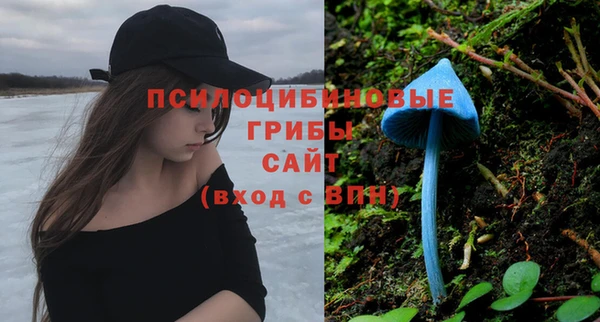 крисы Волосово