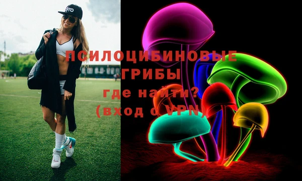 гашик Володарск