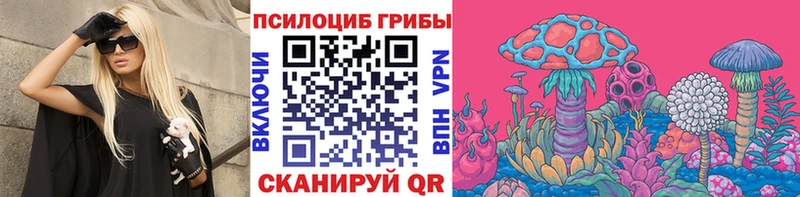 Галлюциногенные грибы Psilocybe где купить наркоту Выборг